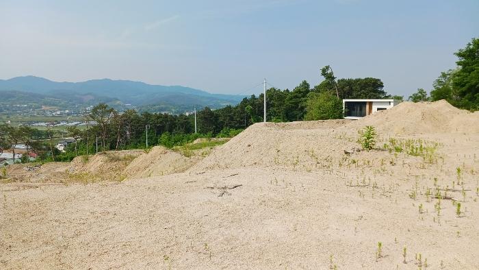 세종 장군면 대교리 175-7 임야 사진 2