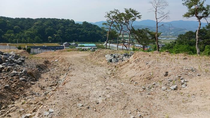 세종 장군면 대교리 175-7 임야 사진 4