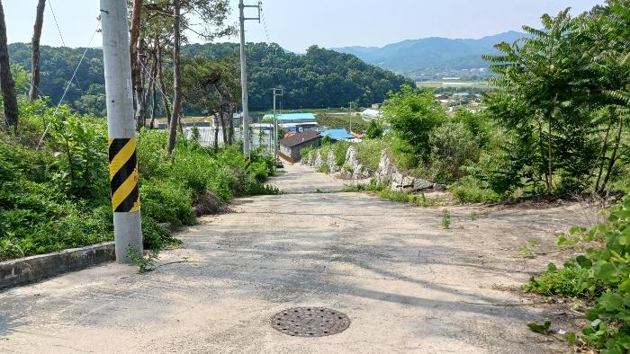 세종 장군면 대교리 175-7 임야 사진 6