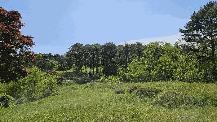 세종 연동면 문주리 74-1 임야 경매 물건 사진