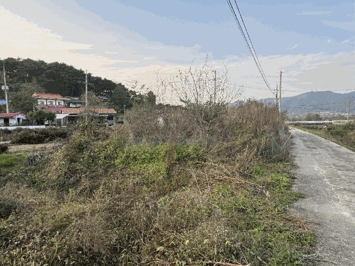 세종 금남면 달전리 319-3 답 사진 2