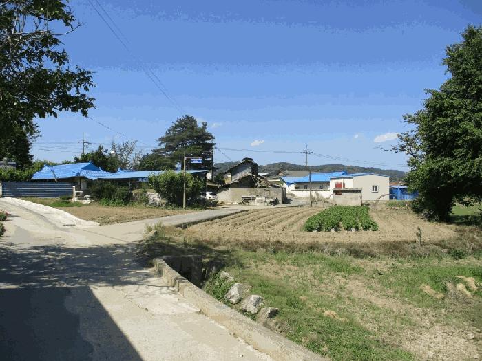 세종 전동면 보덕리 388-5 답 경매 물건 사진