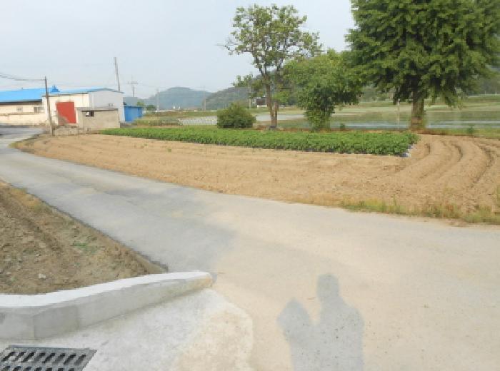 세종 전동면 보덕리 388-5 답 사진 5