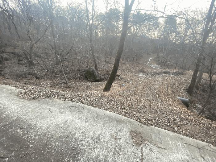 세종 연서면 고복리 172-16 임야 사진 3