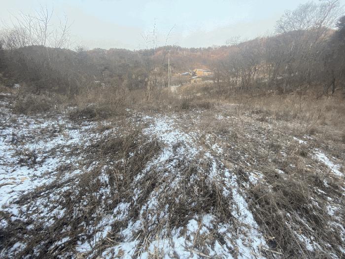 세종 연서면 고복리 172-16 임야 사진 5