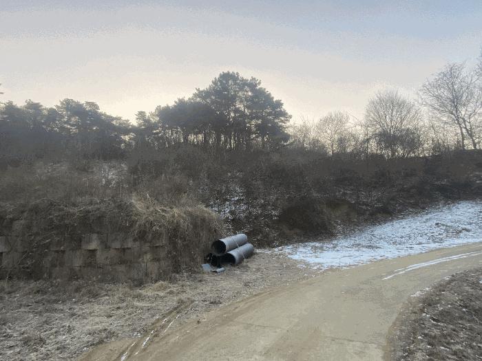 세종 연서면 고복리 172-16 임야 사진 6