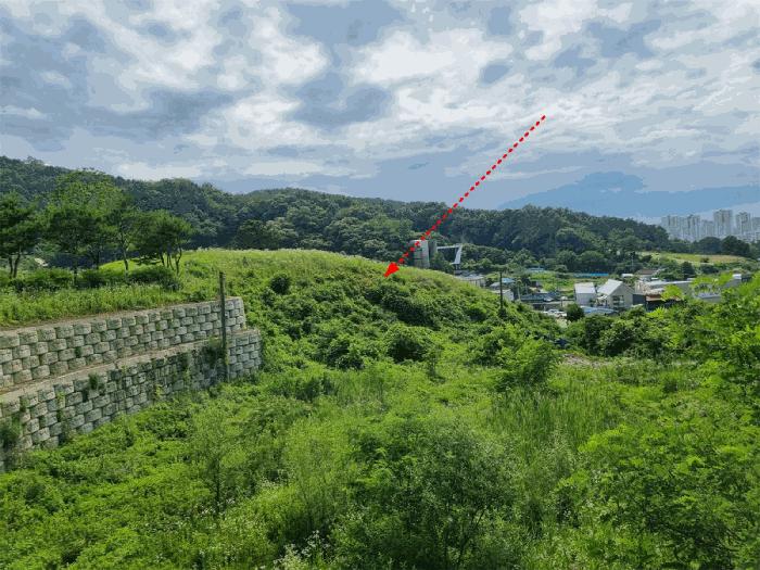 세종 금남면 호탄리 143 전 사진 5