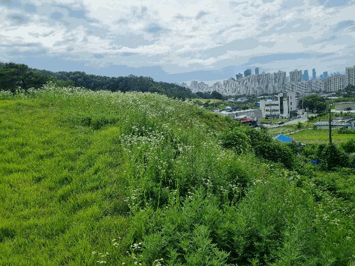 세종 금남면 호탄리 143 전 사진 6