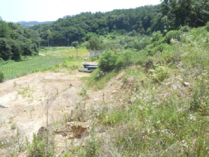 세종 연서면 쌍류리 513-1 외 1필지 대지 경매 물건 사진